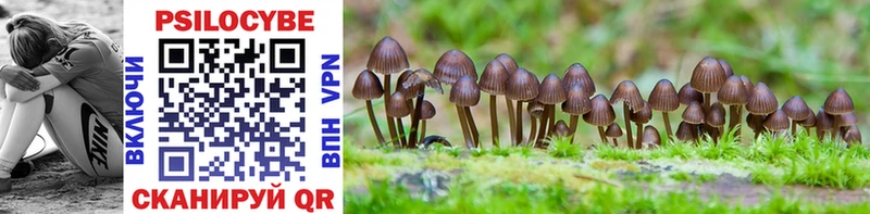 Галлюциногенные грибы Psilocybine cubensis Купить закладки Калтан